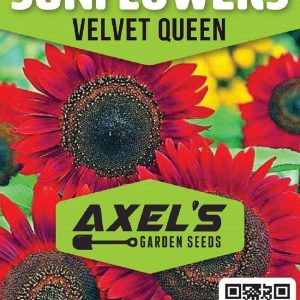 Sunflower Seeds for Planting – Grow Red Velvet Queen Sun Flowers in Your Garden – 25 Non GMO Heirloom Seeds – Full Planting Instructions for Easy to Grow – Great Gardening Gifts (1 Packet)