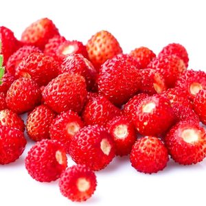 1000 Pcs Wild Strawberry Seeds Sweet Wild Strawberry Seeds for Planting Fragaria Vesca Seeds Heirloom Non GMO Edible Berry Fruit Garden Seeds