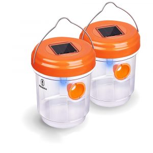 wasp trap